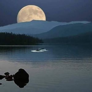 Meet your Posher, Velia